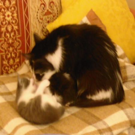 la maman fait la toilette