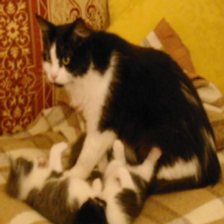 les petits entrain de jouer